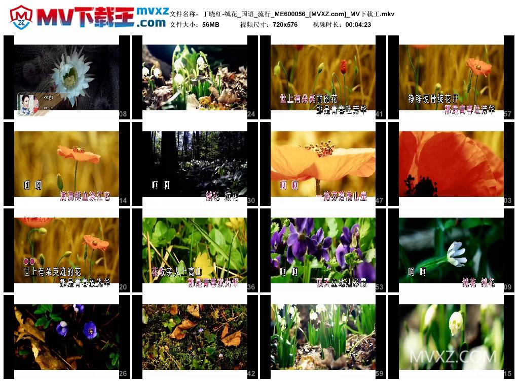 丁晓红-绒花_国语_流行_ME600056